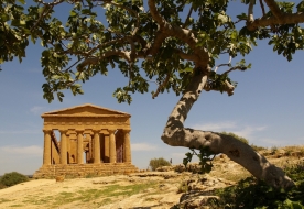 visite Agrigento -  