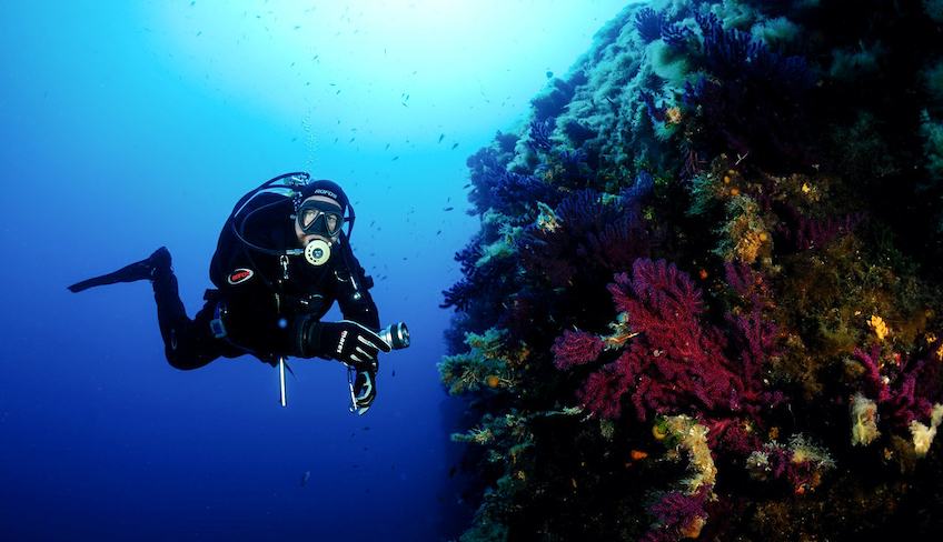 подводные погружения водный спорт лучший SCUBA-дайвинг Марсала