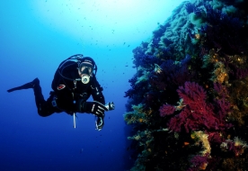 подводные погружения водный спорт лучший SCUBA-дайвинг Марсала