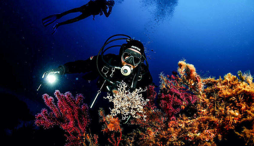 дайвинг центр мареттимо активный летний отдых путешествия со SCUBA-дайвингом марсала