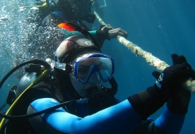 дайвинг для новичков дайвинг для профессионалов научиться SCUBA-дайвингу 