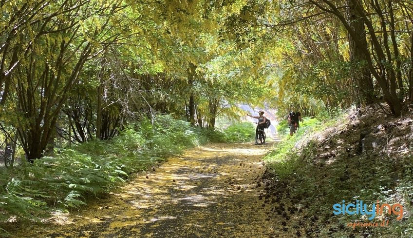 tour bici mtb etna