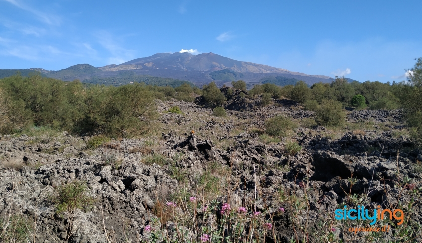 vista etna tour bici